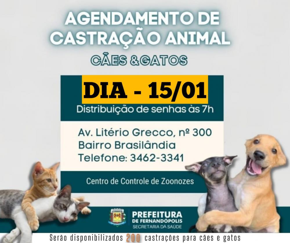 Agendamento para castração de animais acontece no dia 15 de janeiro, às 7h 