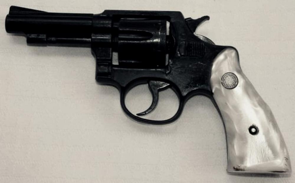 Idosa encontra arma de fogo jogada no quintal de casa em Rio Preto