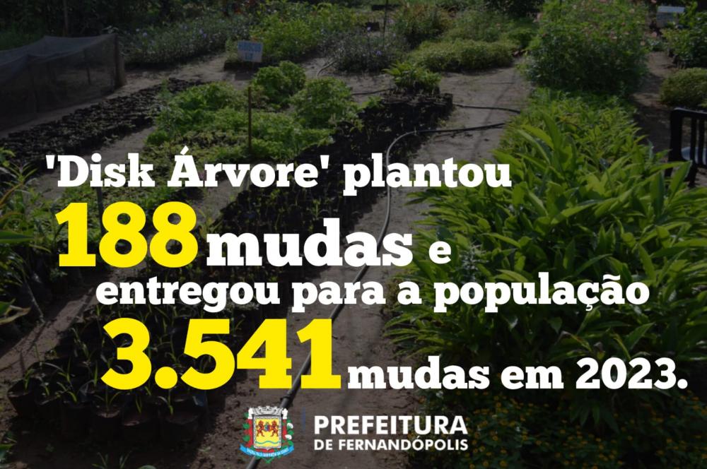 ‘Disk Árvore’ plantou 188 mudas em 2023