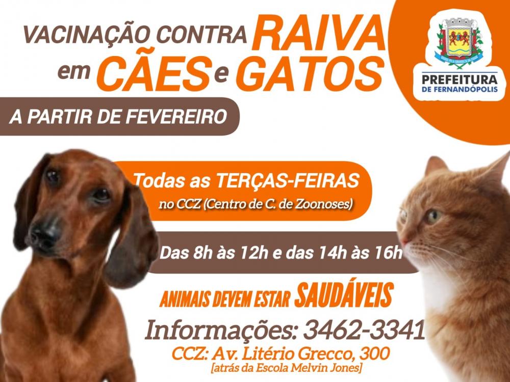 CCZ: a partir de fevereiro, vacinação contra raiva animal todas as terças-feiras 