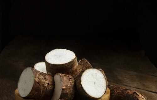 Para além dos medicamentos e cosméticos: biodiversidade da Amazônia gera renda por meio de riqueza gastronômica