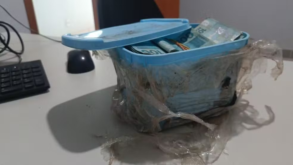 Aposentado encontra R$ 60 mil enterrados em pote de sorvete em casa
