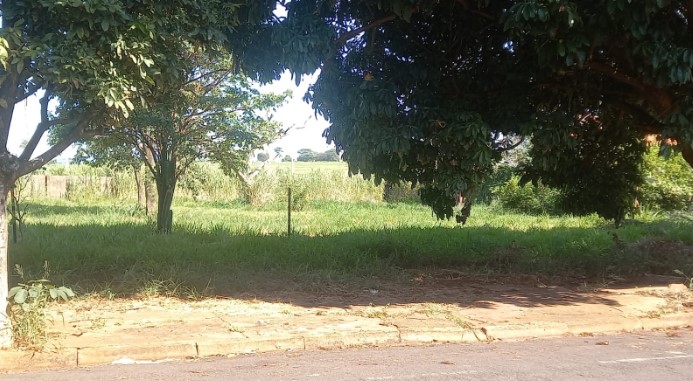 Corpo é encontrado em estado avançado de decomposição em terreno 