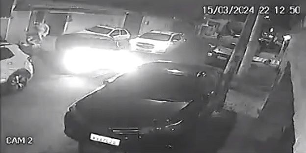 Mulher tenta salvar seus 9 gatos durante assalto e é atropelada 