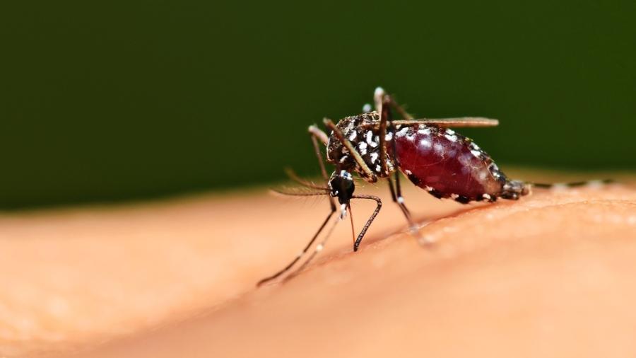 Votuporanga registra terceira morte por Dengue e aumenta alerta 