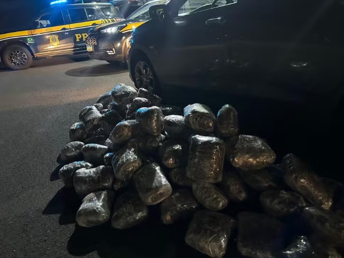 Pai e filho são presos com 53 kg de skunk em rodovia 