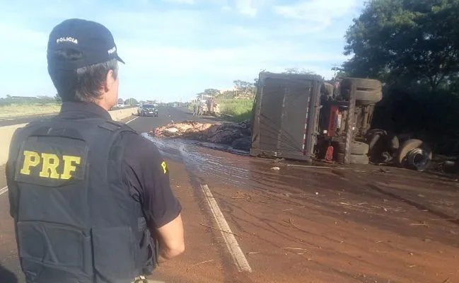 Caminhão carregado com couro bovino tomba na BR-153
