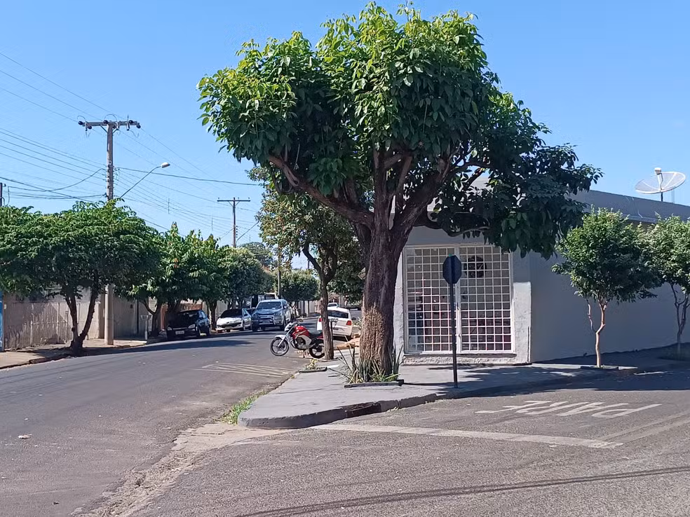 Criança é deixada sozinha em ponto de ônibus após volta da escola