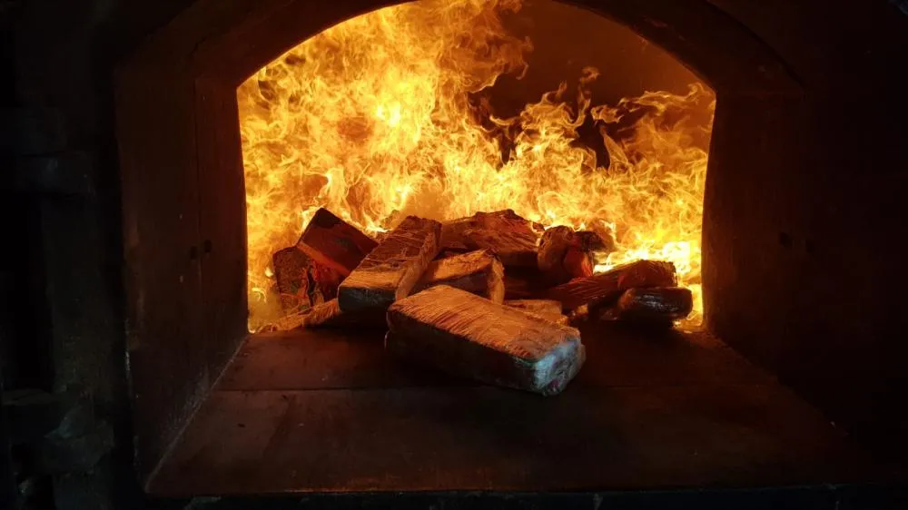 Mais de 200 kg de drogas apreendidas pela DISE são incineradas