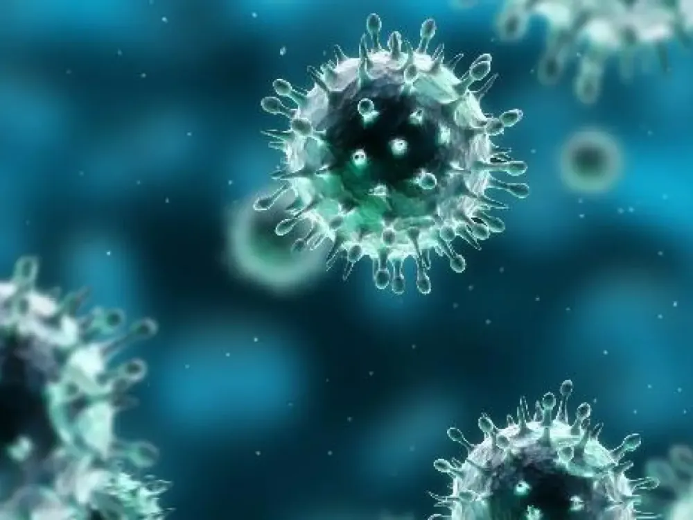 Gripe suína/H1N1 mata duas mulheres em Votuporanga
