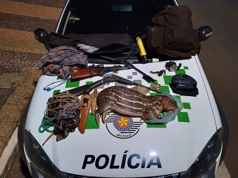 Caçador ilegal é preso após matar paca em Urânia