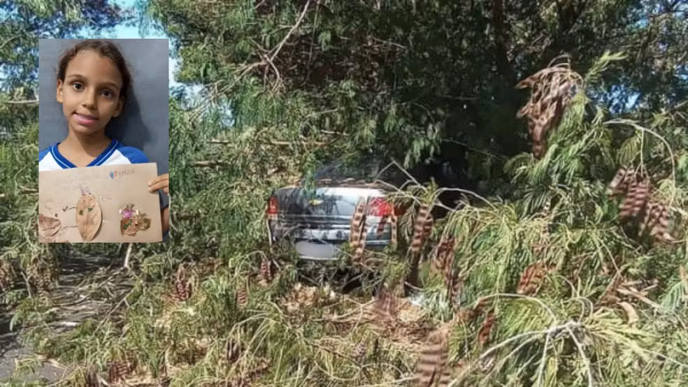 Menina de 8 anos morre após carro bater em árvore em Riolândia