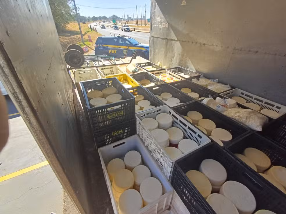 PRF apreende quase uma tonelada de queijo da canastra falsificado