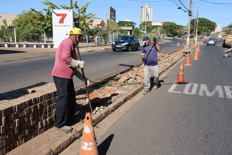 Prefeitura inicia revitalização do canteiro da avenida Duque de Caxias