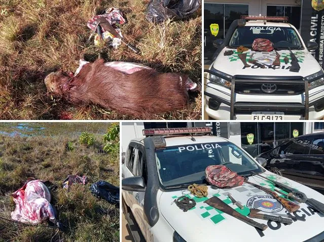 Ambiental prende caçadores por porte de armas e morte de capivara