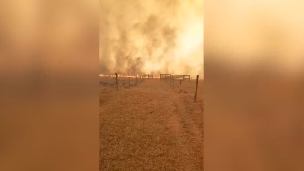 Incêndios devastam áreas rurais na região noroeste