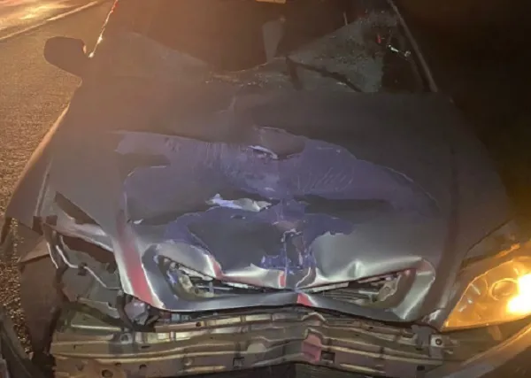 Morador em situação de rua morre atropelado em rodovia