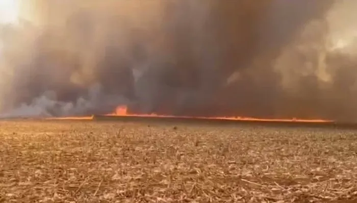 Polícia prende suspeito de incendiar 700 hectares de fazendas
