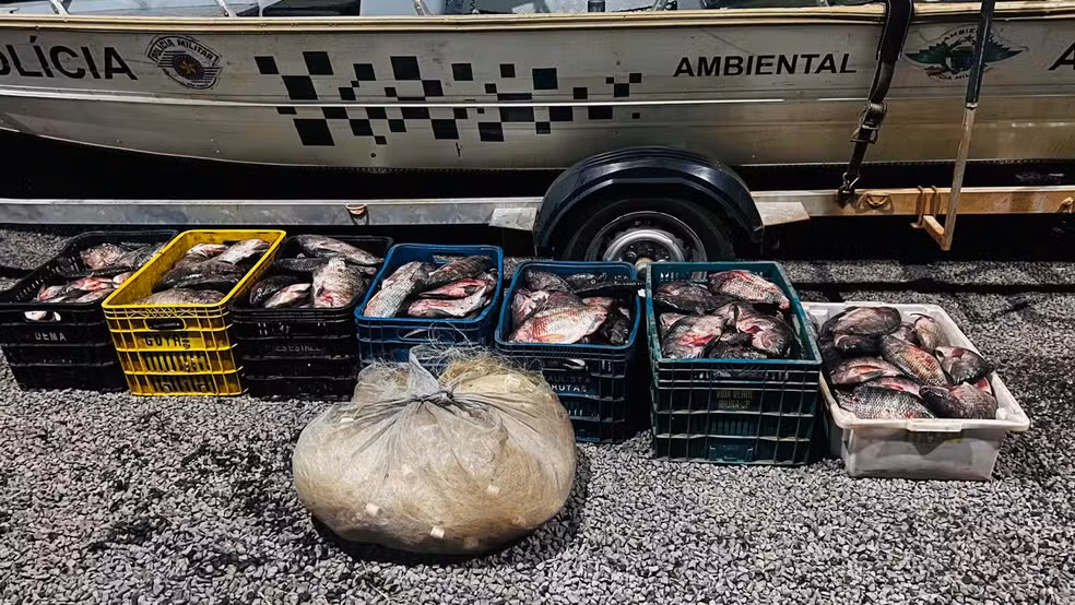 Pescadores são multados em R$ 17 mil por pesca predatória