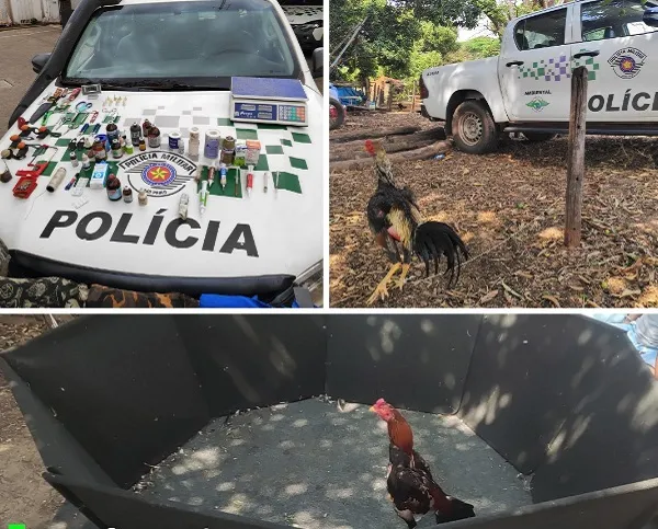 Polícia Ambiental desmancha rinha de galo e multa organizadores em R$ 174 mil