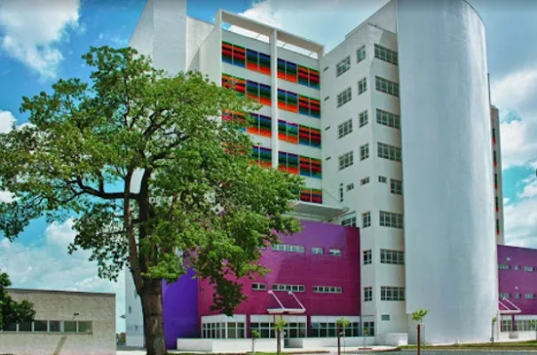Criança de apenas 2 anos é encontrada ‘roxa’ pela mãe e morre no hospital