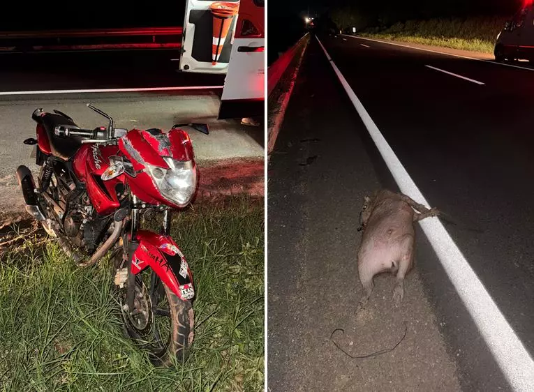 Casal fica ferido após colisão entre moto e capivara na Rodovia Euclides da Cunha em Estrela d’ Oeste