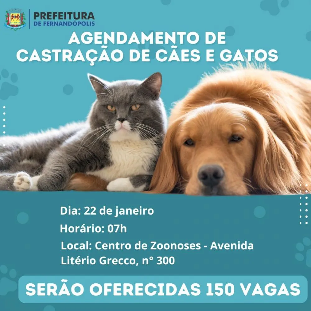 Centro de Zoonoses realiza agendamento para castração gratuita de animais 