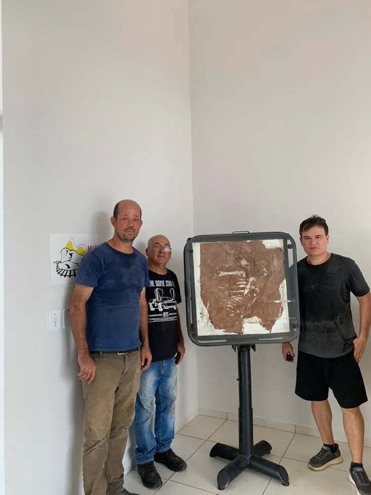 Museu de Paleontologia recebe fóssil de 80 milhões de anos 