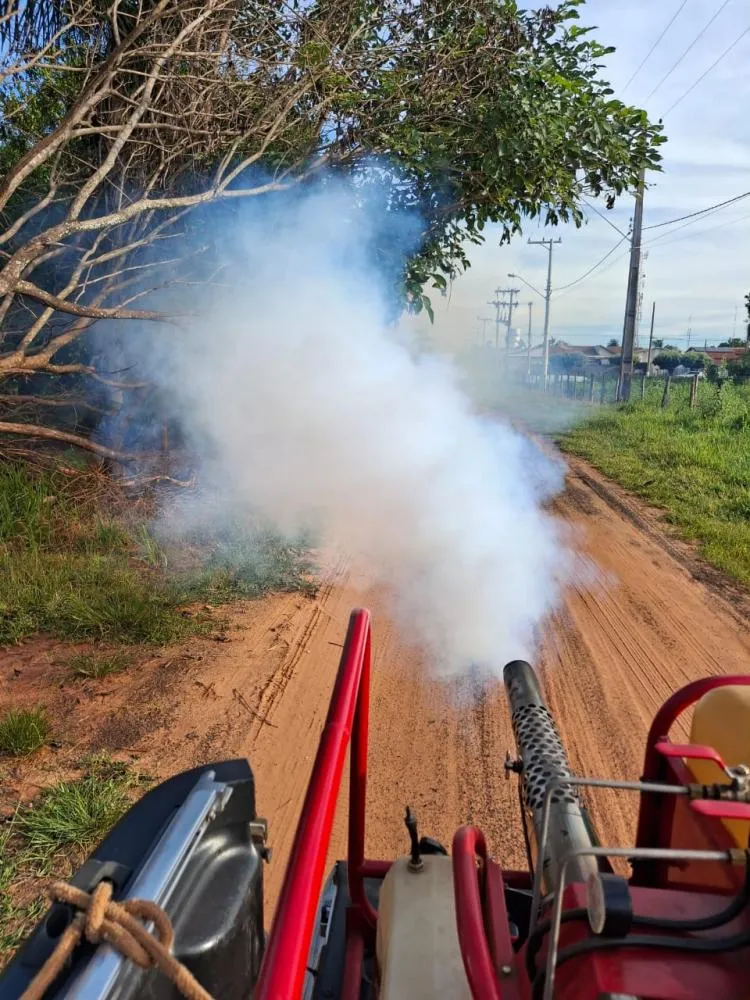 Pedranópolis: Saúde intensifica combate ao Aedes aegypti com fumacê e mutirões de limpeza no município