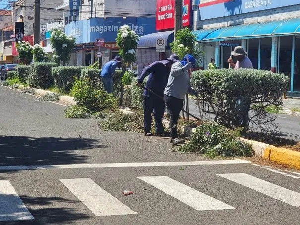 Secretaria do Meio Ambiente e a Secretaria de Obras realizaram poda e limpeza dos canteiros da área central de Fernandópolis 