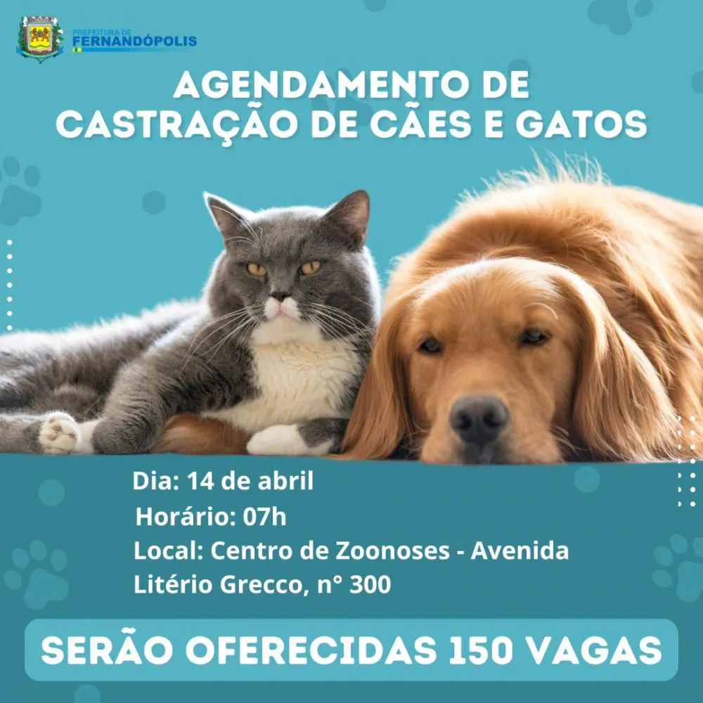 Centro de Zoonoses faz agendamento para castração gratuita de animais dia 14 de abril 