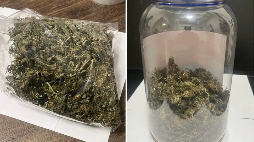 Homem é preso por tráfico de drogas após confusão familiar em Votuporanga