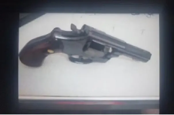 Polícia identifica dono de arma achada em pacote de fraldas