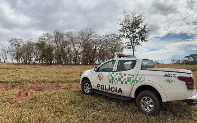 ‘Operação Caipora’ é deflagrada em áreas desmatadas da região