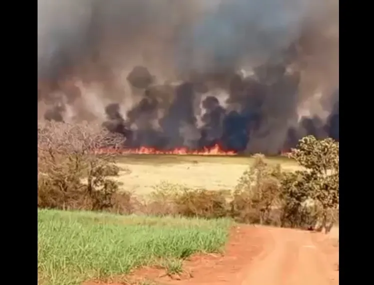 Grande incêndio atinge canavial em Mesópolis