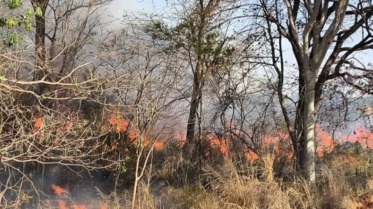 Incêndio de grande proporção consome 30 alqueires em fazenda de Indiaporã