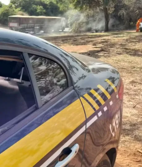 Homem é preso suspeito de incendiar vegetação às margens da BR-153 em Rio Preto