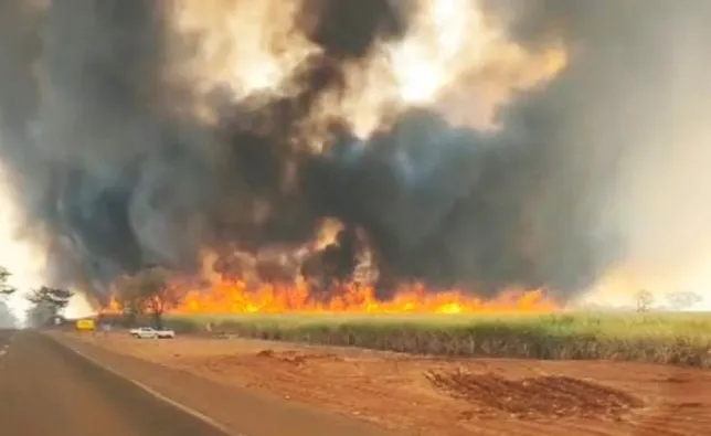 Incêndio de grandes proporções devasta mais de 1.700 hectares em Ouroeste