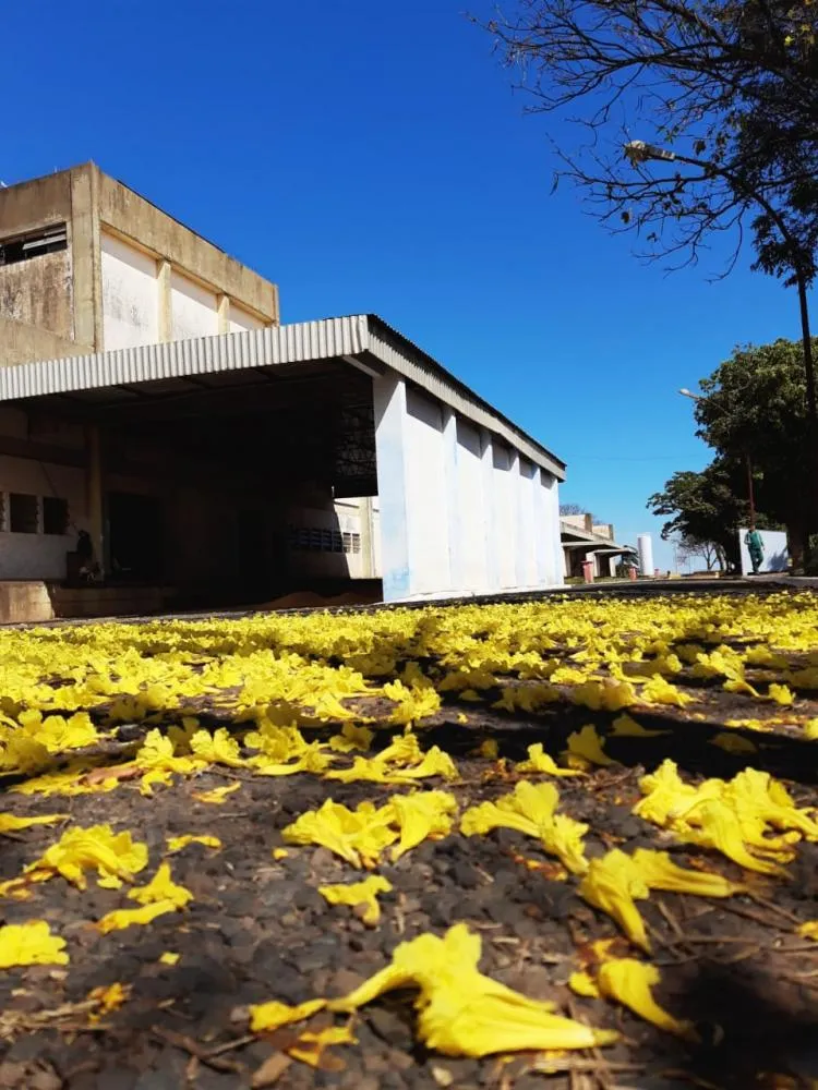 CEAGESP comemora 60 anos de instalação em Fernandópolis