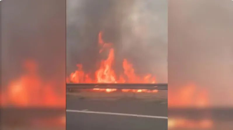 Incêndio de grandes proporções atinge área às margens da BR-153 em José Bonifácio