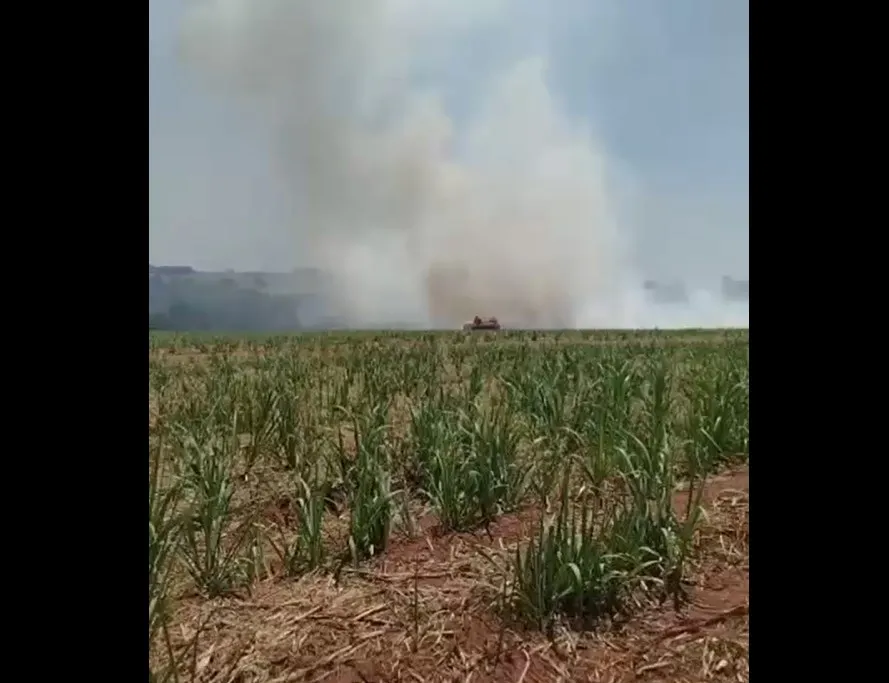 Incêndio em canavial mobiliza equipes de emergência na zona rural de Pedranópolis