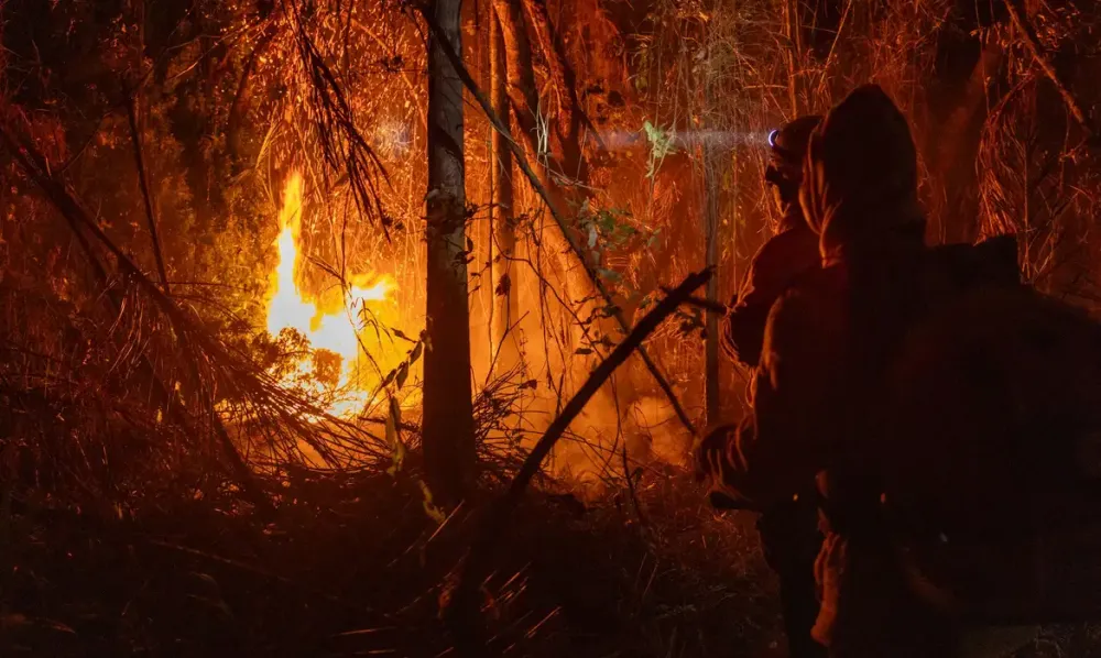 Mulher é levada à delegacia após incêndio em área de pastagem em Rio Preto