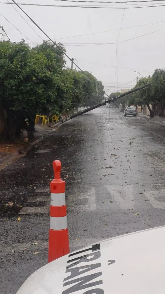 Chuva e ventania causam transtornos em Fernandópolis na tarde deste sábado