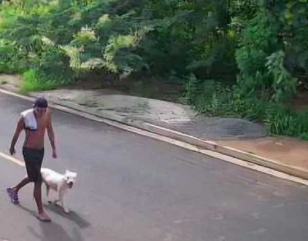 Câmeras ajudam a identificar suspeito de matar pitbull em Rio Preto