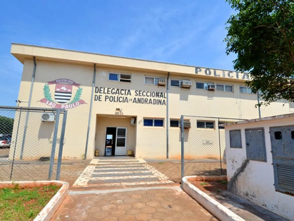 Polícia Civil de Andradina investiga caso de maus-tratos que resultou na morte de cão após agressão com capacete