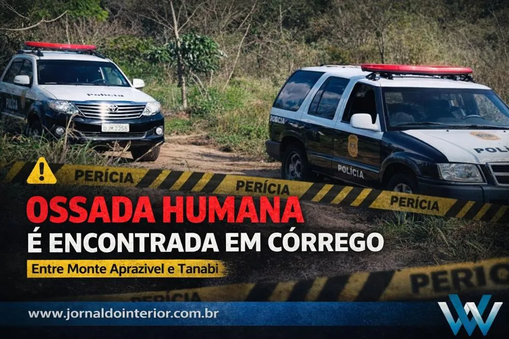 Ossada humana é localizada em área rural e mobiliza perícia