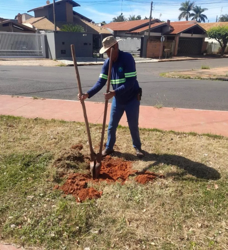 Projeto “Disque-Árvore” amplia arborização urbana e se destaca como sucesso em Jales