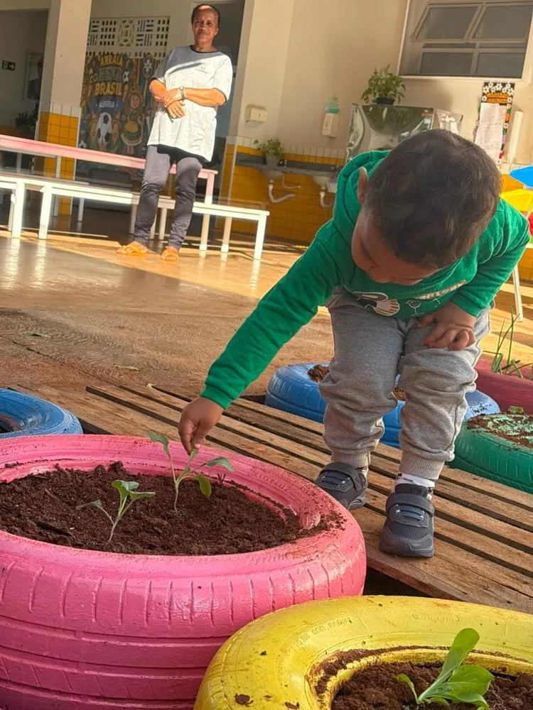 Prefeitura leva educação ambiental e implanta horta pedagógica em escola