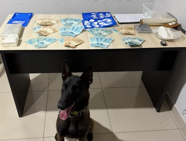 Cão do Baep ajuda a encontrar esconderijo de drogas na região