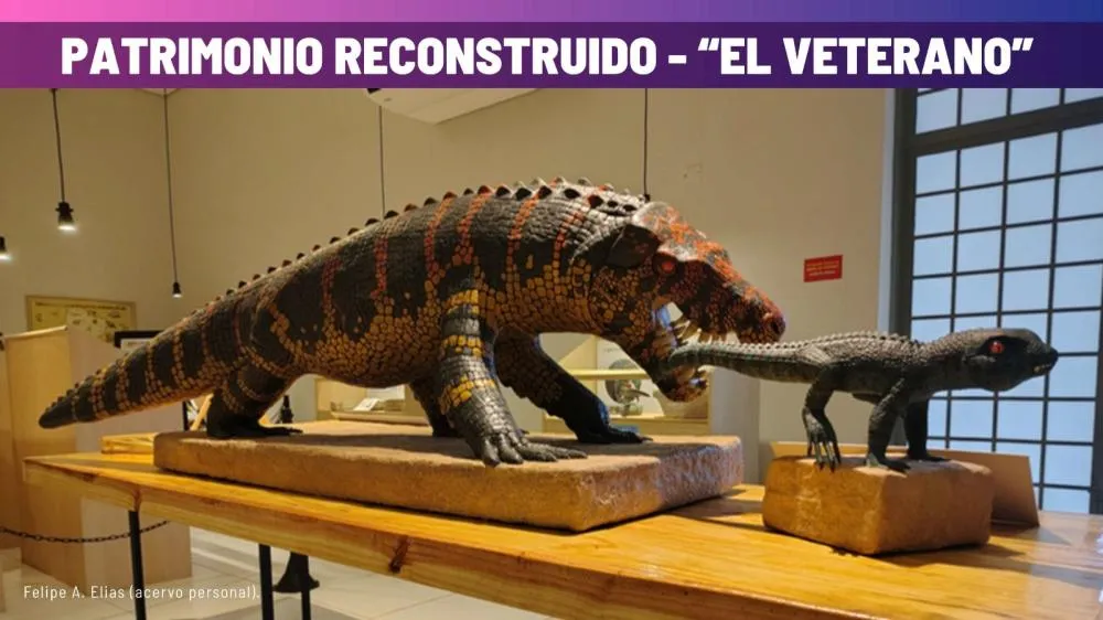 Museu de Paleontologia será destaque em evento científico no Chile